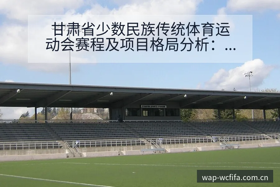 甘肃省少数民族传统体育运动会赛程及项目格局分析：分组与 - 世界杯