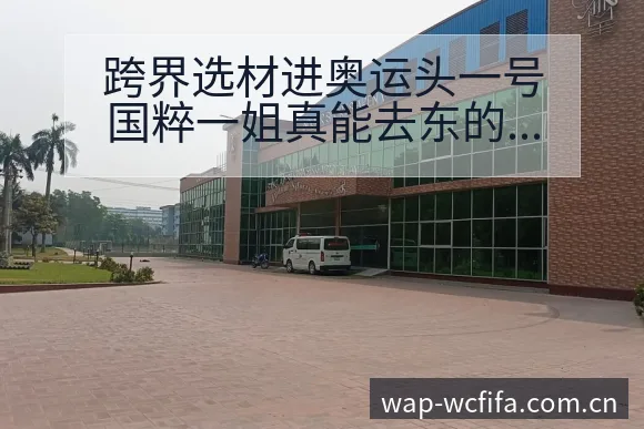 跨界选材进奥运头一号国粹一姐真能去东的战术变化与风险点深 - 世界杯