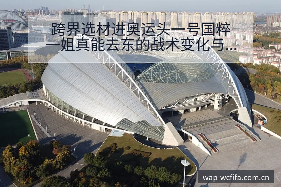 跨界选材进奥运头一号国粹一姐真能去东的战术变化与风险点深 - 世界杯